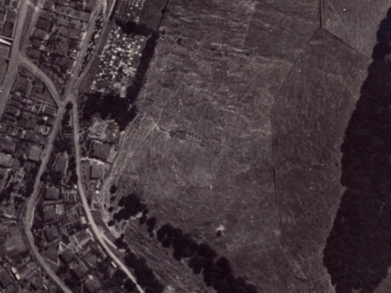 14 Foster Terrace from the air, 1925-1929