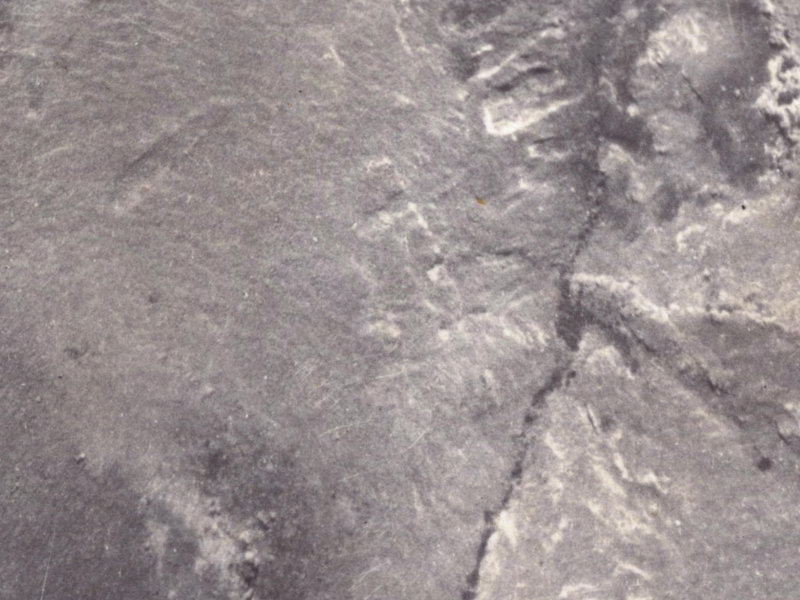 365 Worsleys Road from the air, 1925-1929