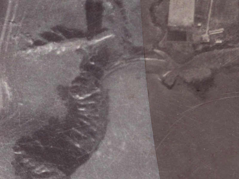 50 Bayview Place from the air, 1925-1929