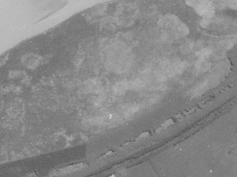 89 Kainga Road from the air, 1940-1944