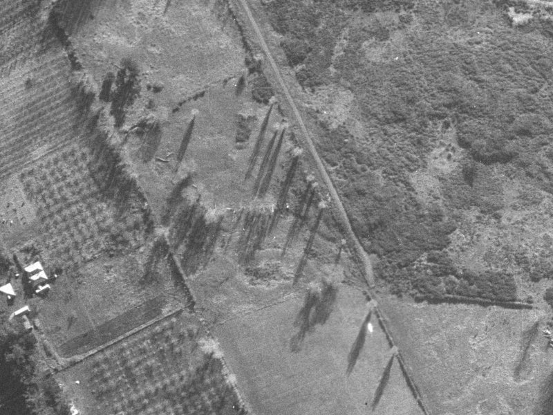 20 Farrells Road from the air, 1940-1944