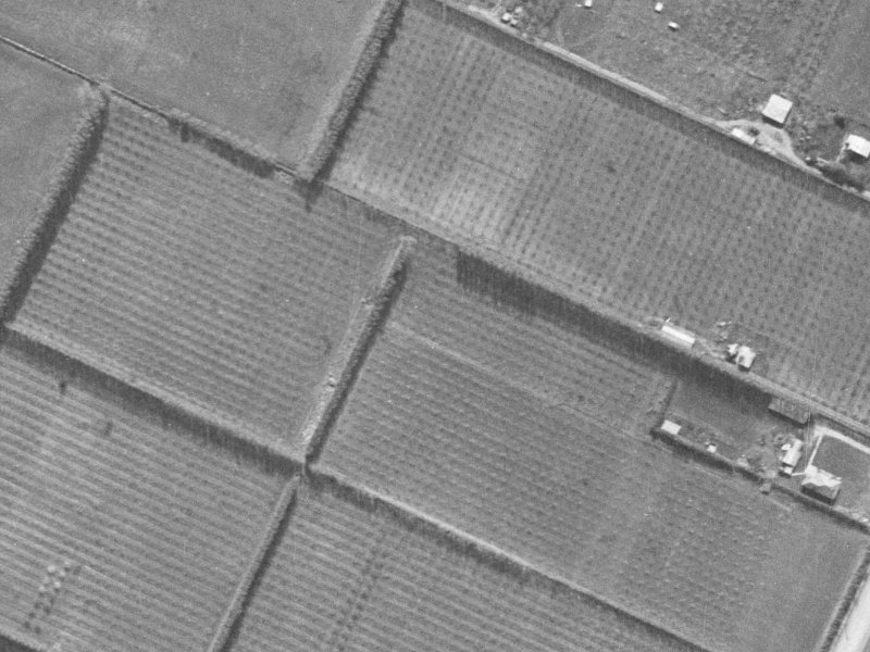 24 Mounter Avenue from the air, 1940-1944
