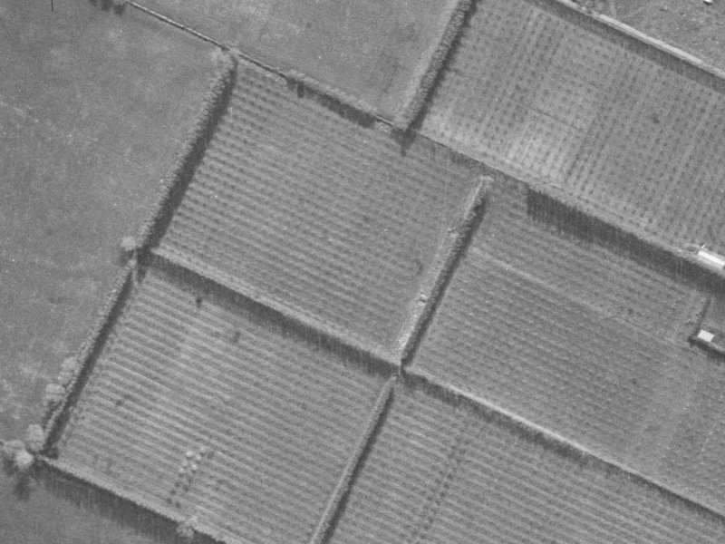 8 Bering Street from the air, 1940-1944