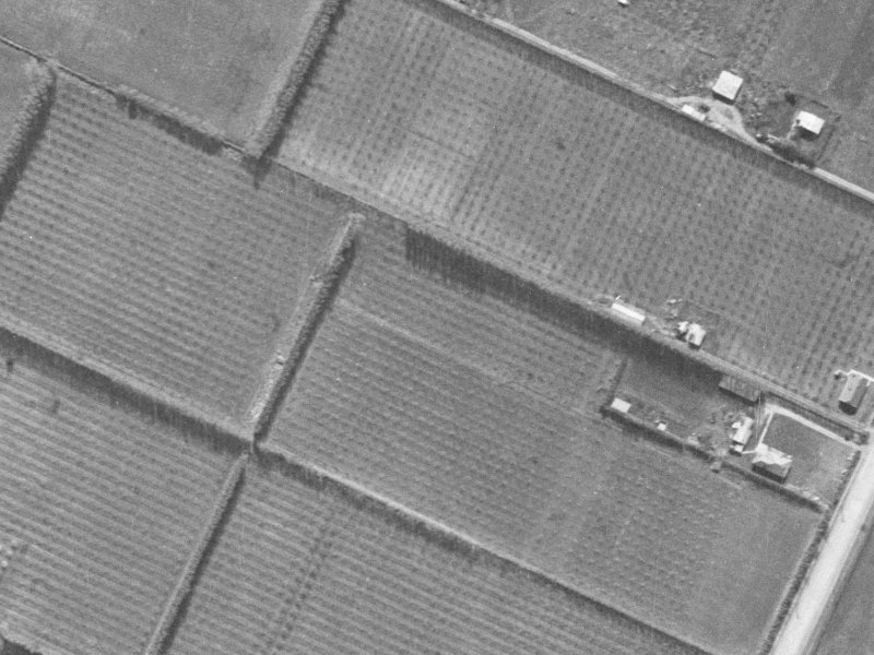 22 Mounter Avenue from the air, 1940-1944