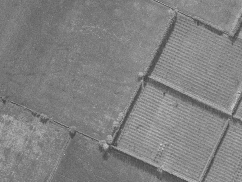 43 Mounter Avenue from the air, 1940-1944