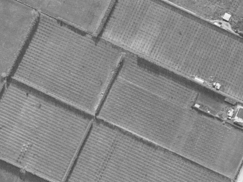 Mounter Avenue from the air, 1940-1944
