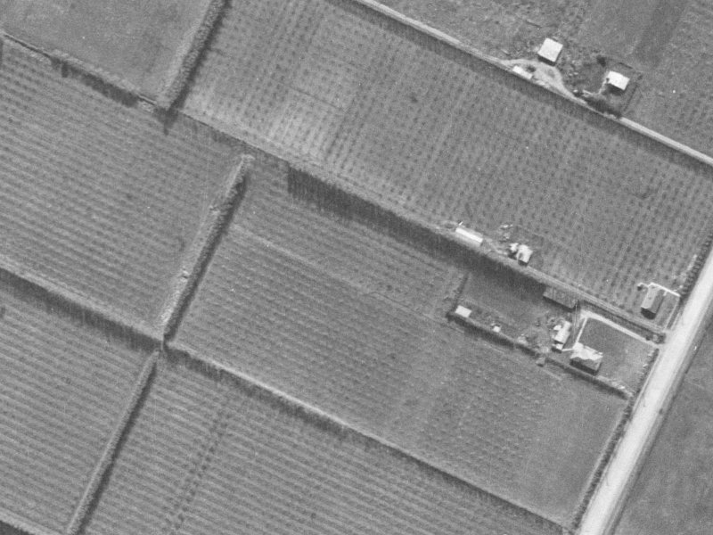 20 Mounter Avenue from the air, 1940-1944