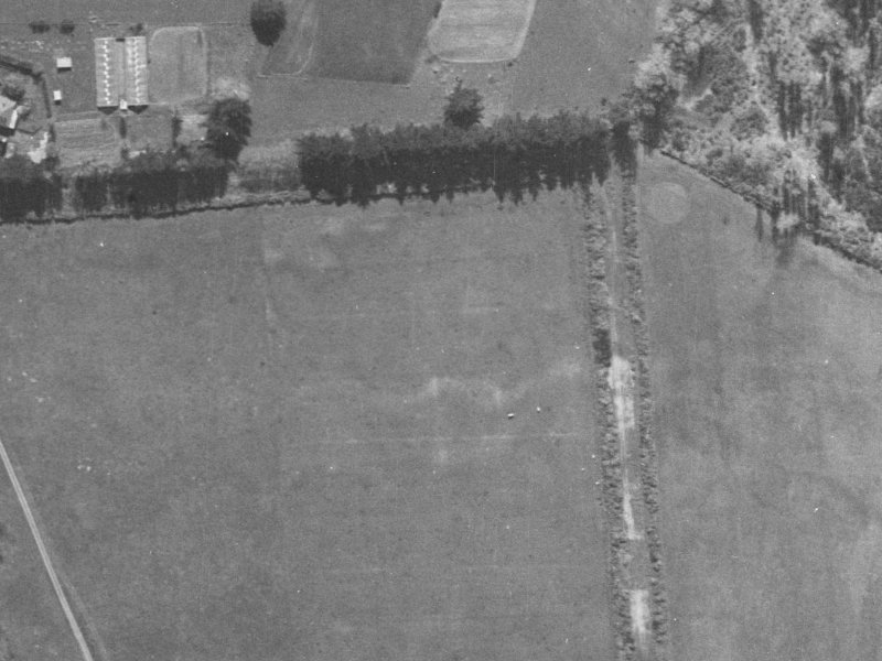 27 Te Whariki Street from the air, 1940-1944