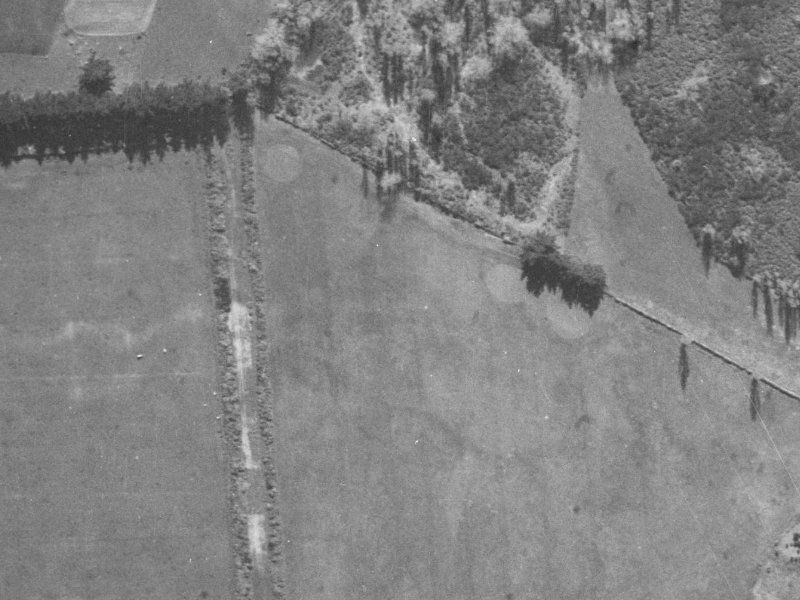 6 Kohunga Crescent from the air, 1940-1944