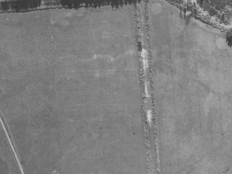 16 Te Whariki Street from the air, 1940-1944