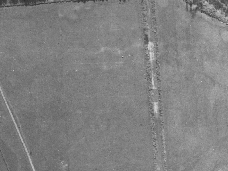 Te Whariki Street from the air, 1940-1944