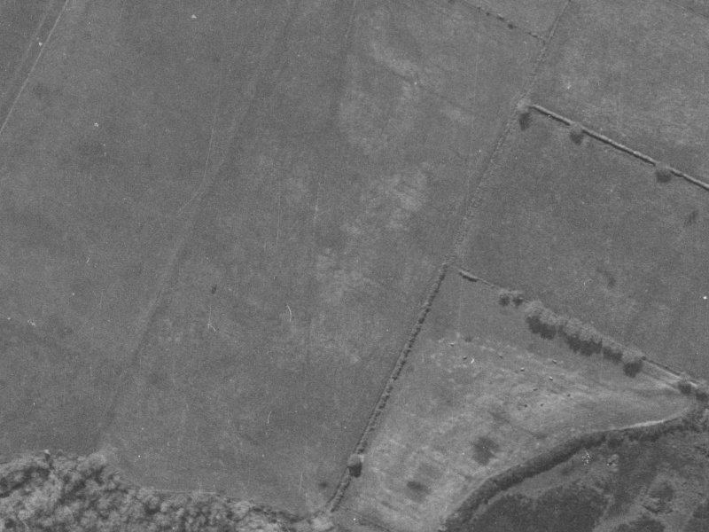 Glen Oaks Drive from the air, 1940-1944