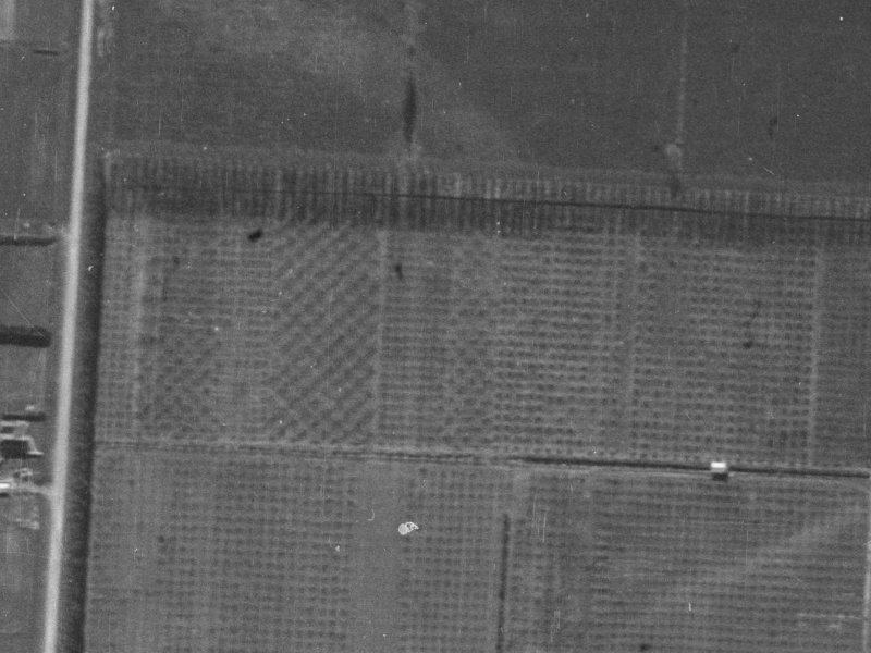 169 Regents Park Drive from the air, 1940-1944