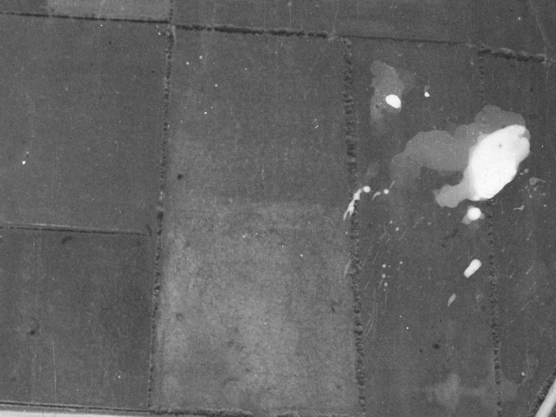 Gingko Lane from the air, 1940-1944