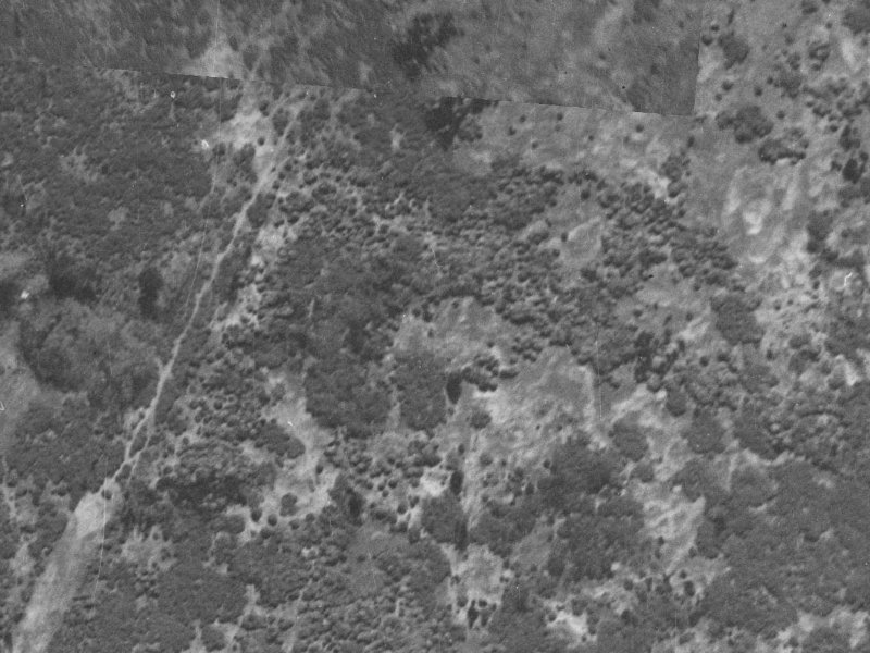 Wisteria Place from the air, 1940-1944