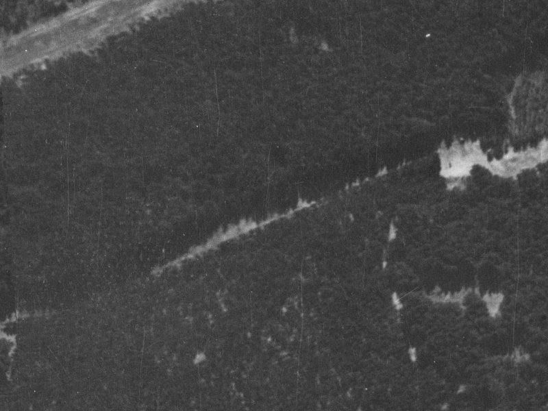52 Putake Drive from the air, 1940-1944