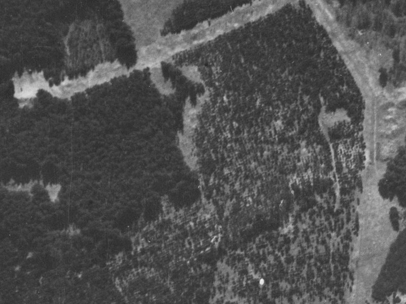 38 Titirangi Crescent from the air, 1940-1944