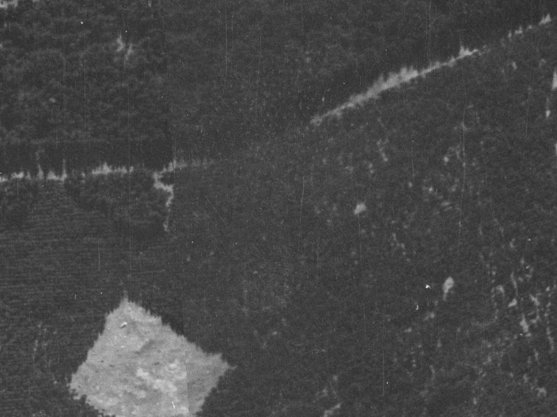 25 Papaumu Green from the air, 1940-1944