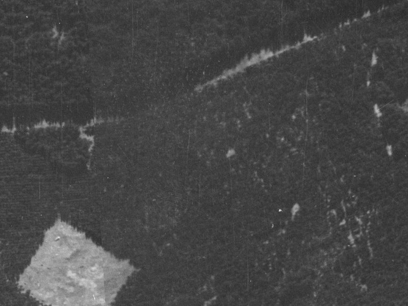 Papaumu Green from the air, 1940-1944
