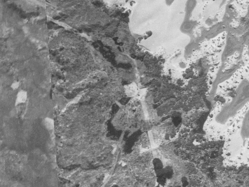 5 Torrey Pines from the air, 1940-1944