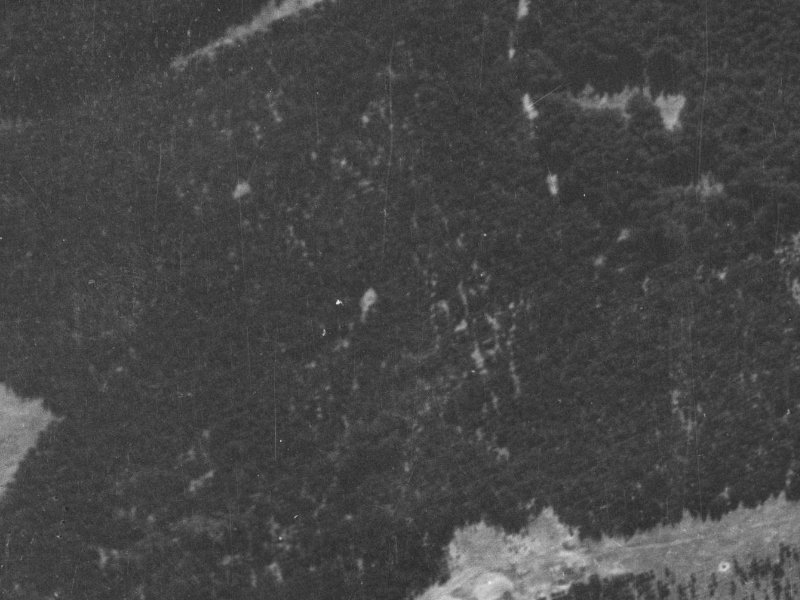 5 Pohutukawa Crescent from the air, 1940-1944