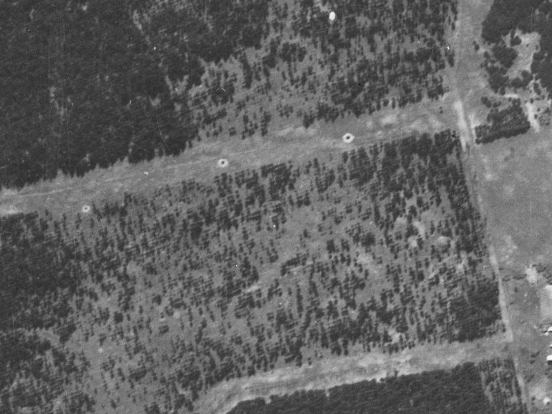 19 Putake Drive from the air, 1940-1944