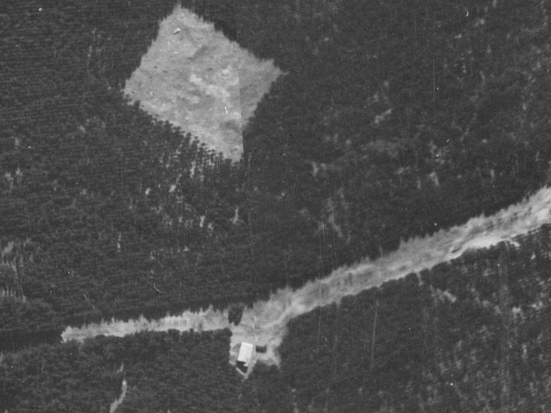 40E Pohutukawa Crescent from the air, 1940-1944