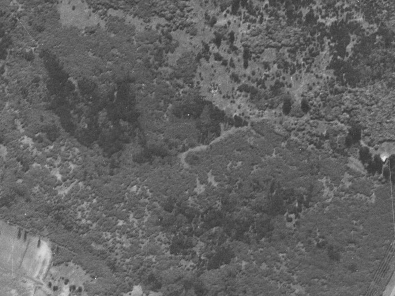 Heathglen Avenue from the air, 1940-1944