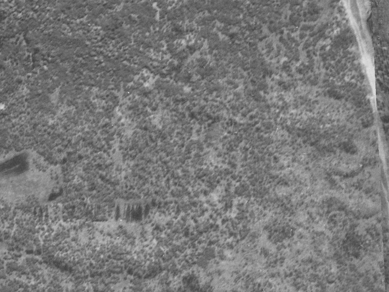 3 Corsican Grove from the air, 1940-1944