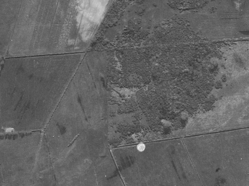 55 Cameo Grove from the air, 1940-1944