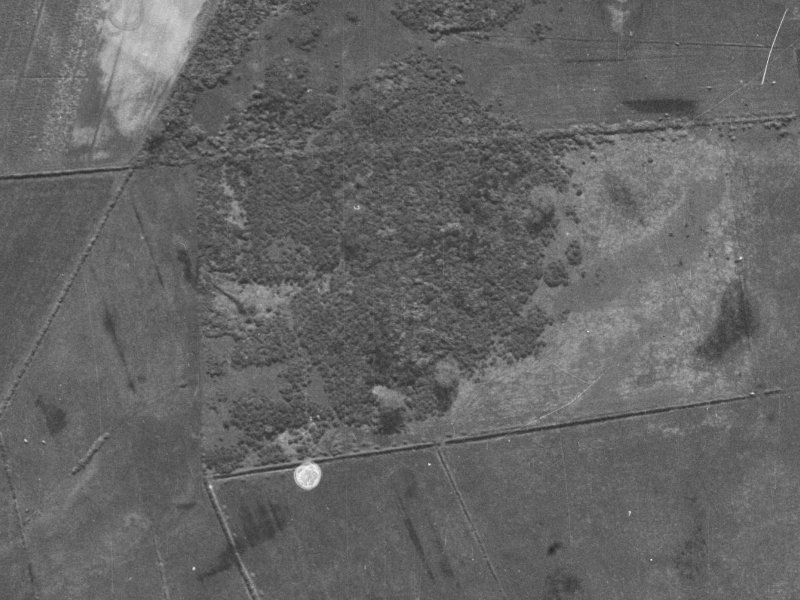 49 Cameo Grove from the air, 1940-1944