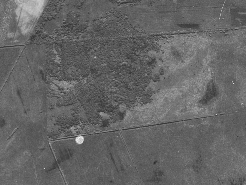 45 Cameo Grove from the air, 1940-1944
