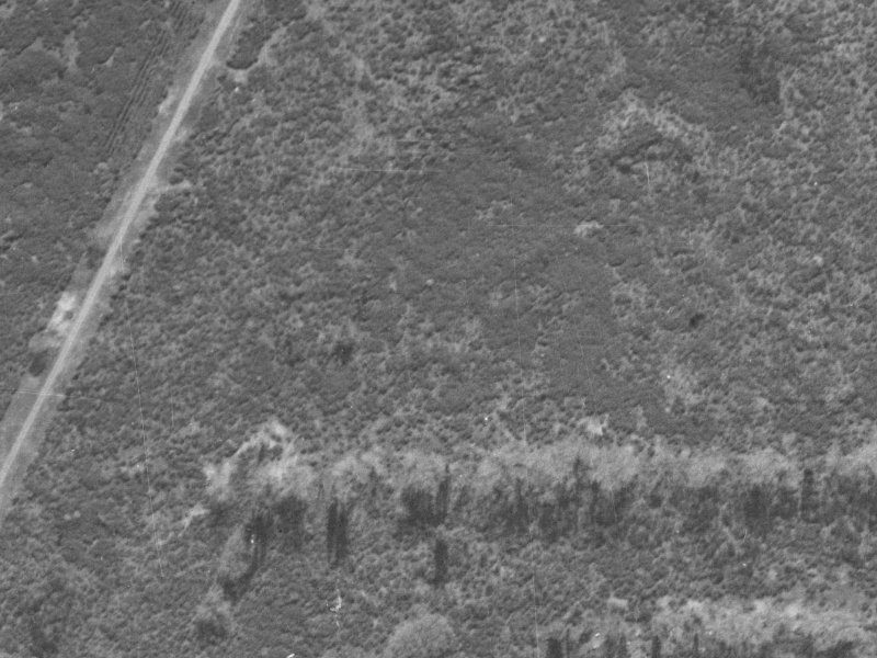 97 Cottonwood Street from the air, 1940-1944