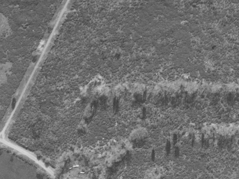 87a Cottonwood Street from the air, 1940-1944