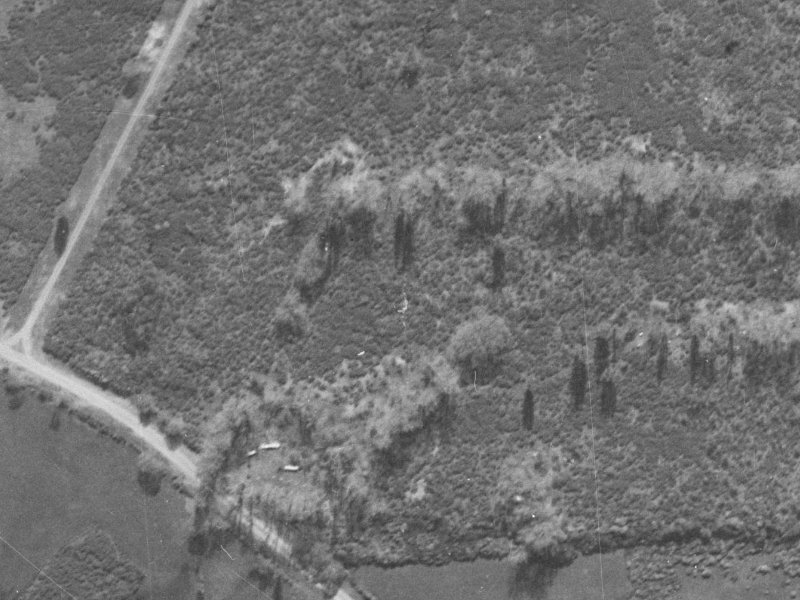 81 Cottonwood Street from the air, 1940-1944