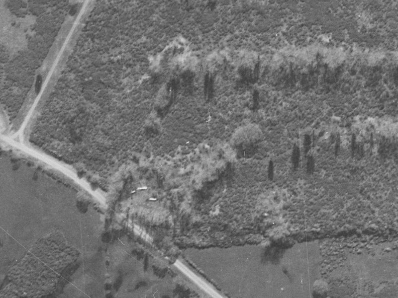 73 Cottonwood Street from the air, 1940-1944