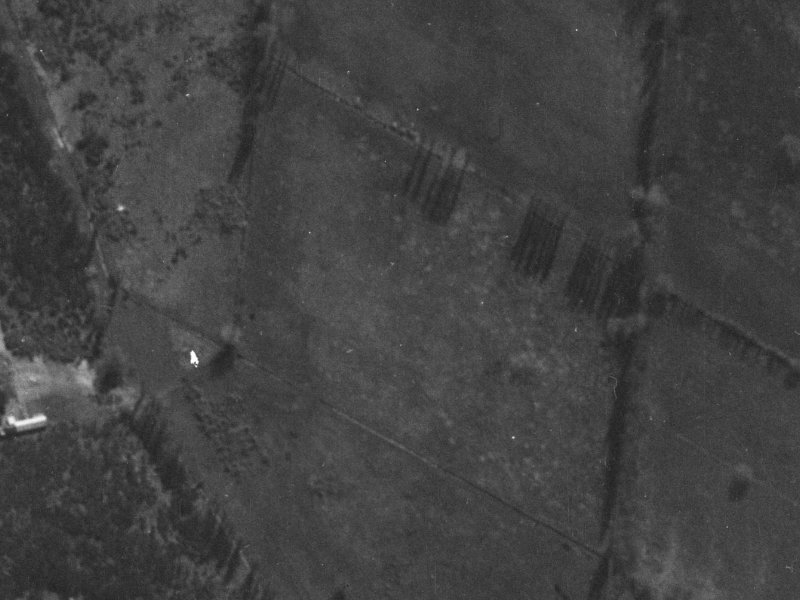 17 Travis Country Drive from the air, 1940-1944