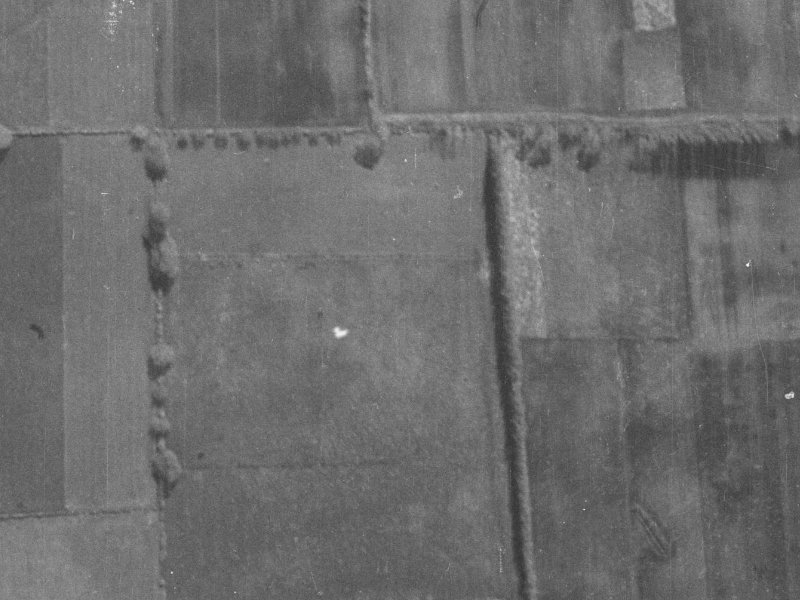 8 Havana Gardens from the air, 1940-1944