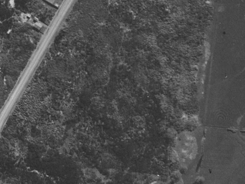 9 Reginald Street from the air, 1940-1944