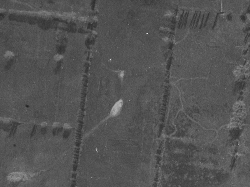 Rebecca Avenue from the air, 1940-1944