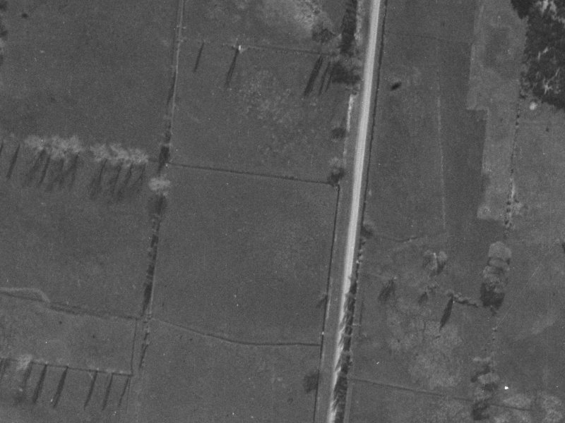 25 Chimera Crescent from the air, 1940-1944