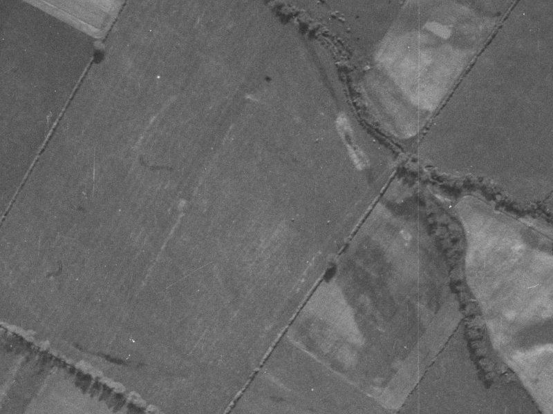 205 Condell Avenue from the air, 1940-1944