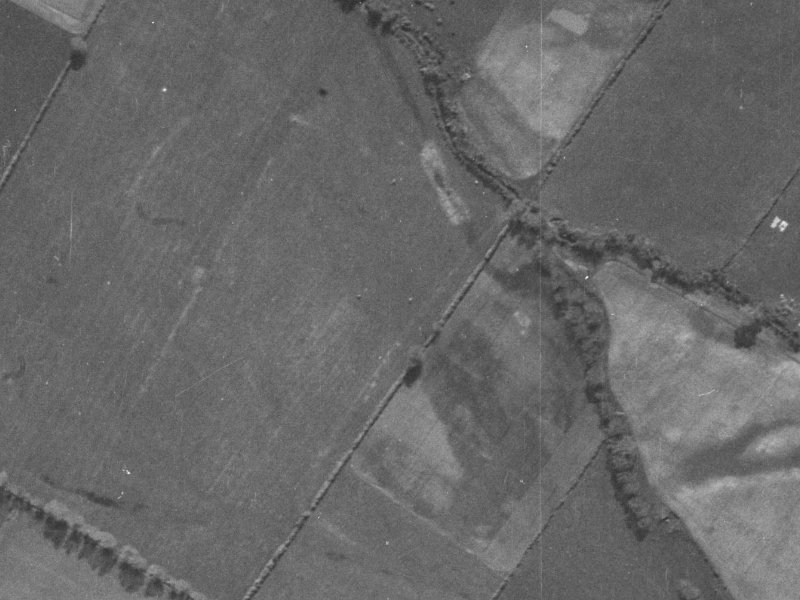 198 Condell Avenue from the air, 1940-1944