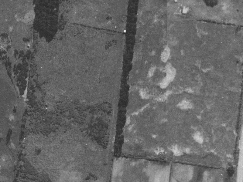 14 Freeville Place from the air, 1940-1944