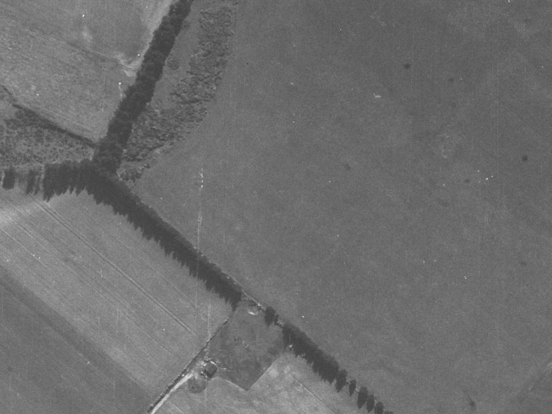 Kendal Avenue from the air, 1940-1944