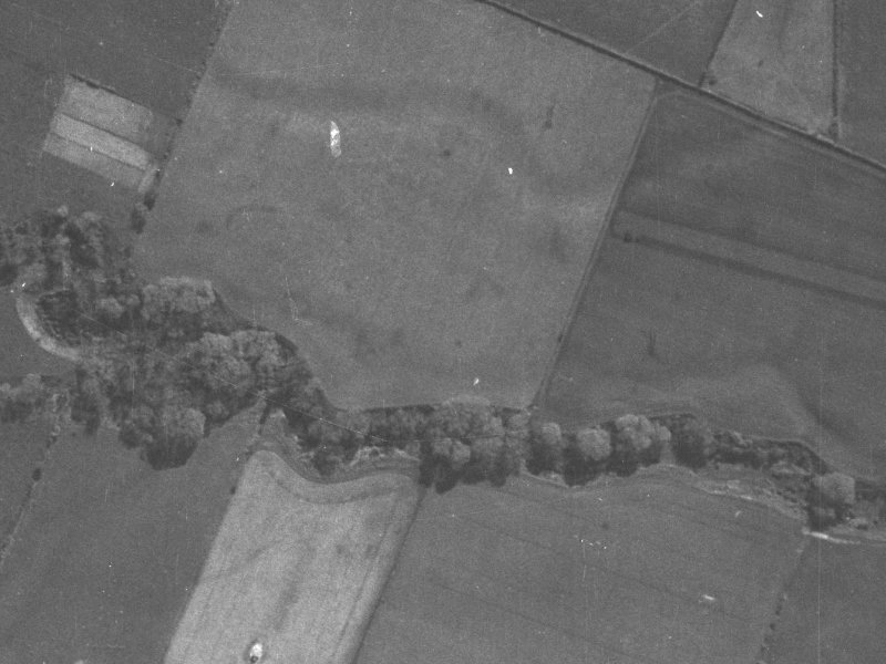 41 Parkstone Avenue from the air, 1940-1944