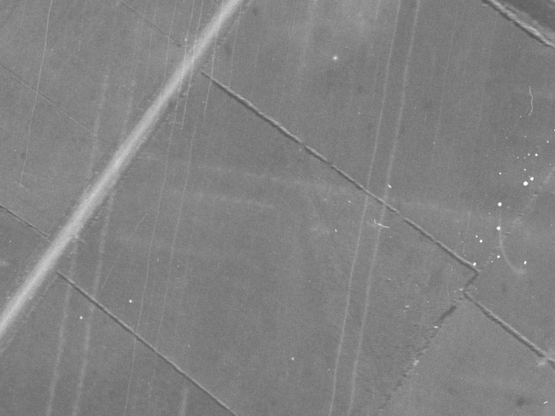 8 Ti Rakau Drive from the air, 1940-1944