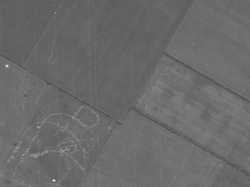 17 Sir James Wattie Drive from the air, 1940-1944