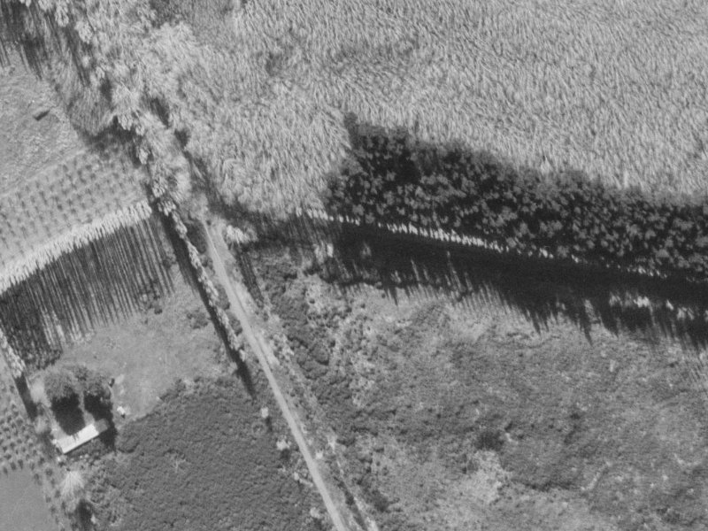10 Farrells Road from the air, 1960-1964