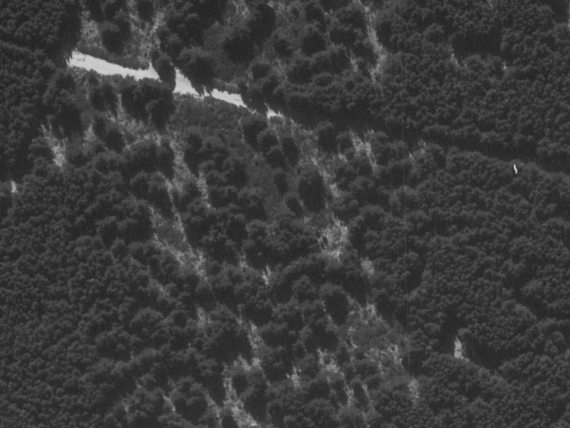 Styx River Place from the air, 1960-1964